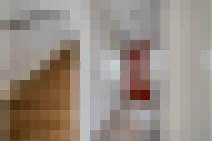 Twistvlietpad 103 Zwolle thumbnail 7