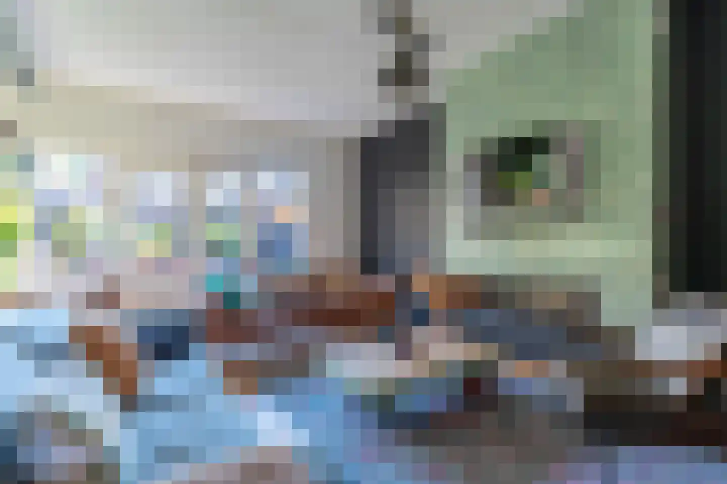 Twistvlietpad 109 Zwolle thumbnail 10