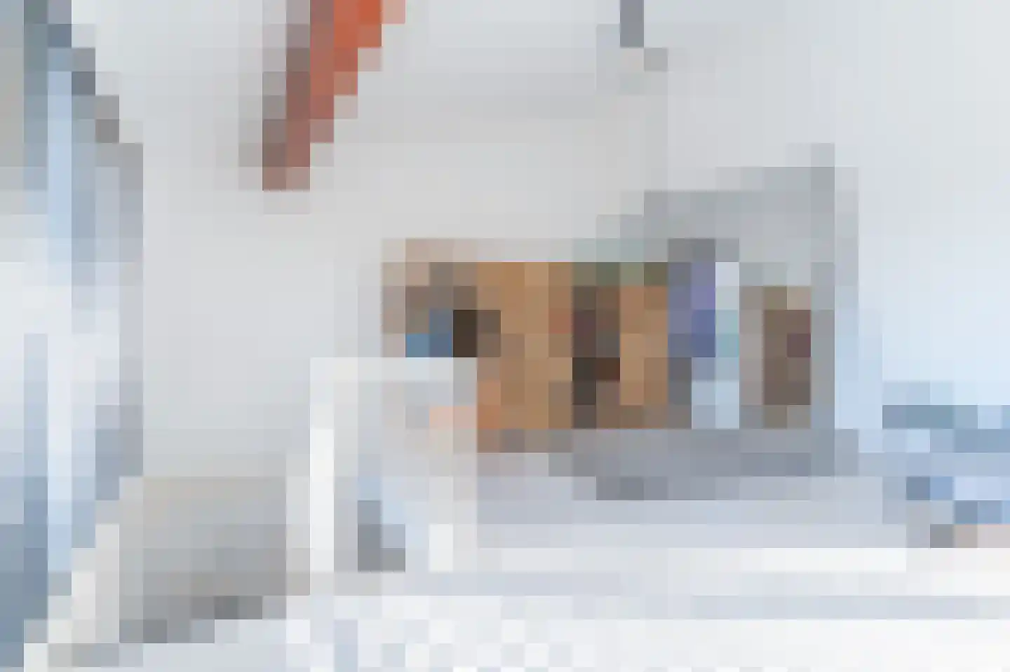 Twistvlietpad 109 Zwolle thumbnail 29