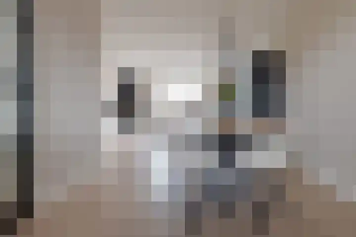 Twistvlietpad 11 Zwolle thumbnail 11