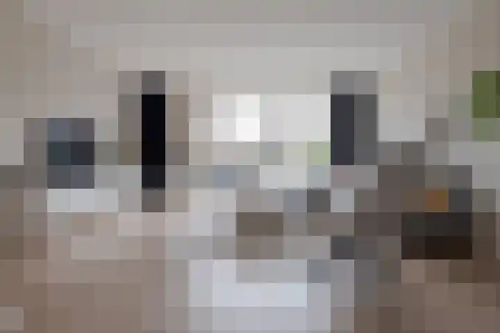Twistvlietpad 11 Zwolle thumbnail 12