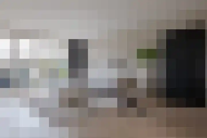 Twistvlietpad 11 Zwolle thumbnail 13