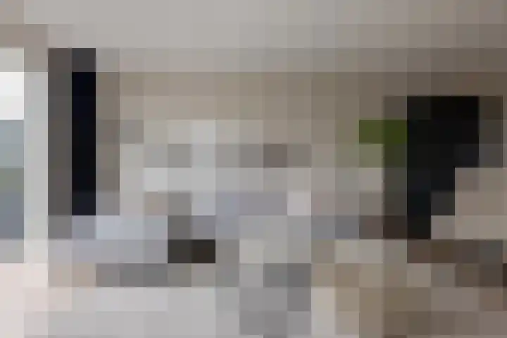Twistvlietpad 11 Zwolle thumbnail 14