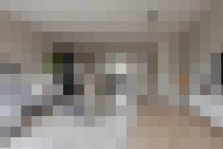 Twistvlietpad 11 Zwolle thumbnail 15
