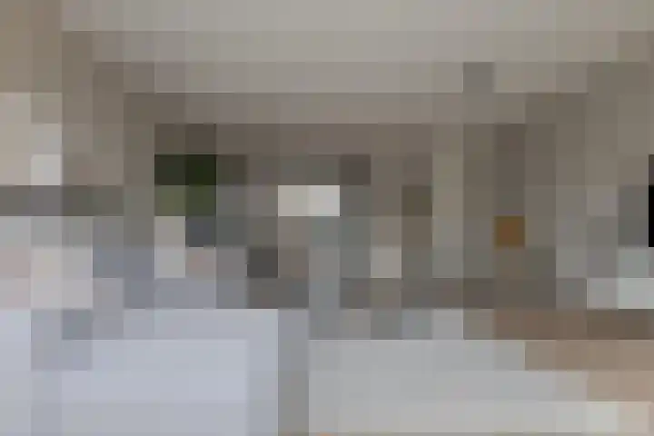 Twistvlietpad 11 Zwolle thumbnail 16