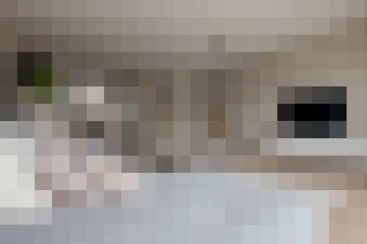 Twistvlietpad 11 Zwolle thumbnail 17