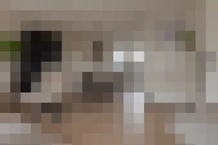 Twistvlietpad 11 Zwolle thumbnail 18