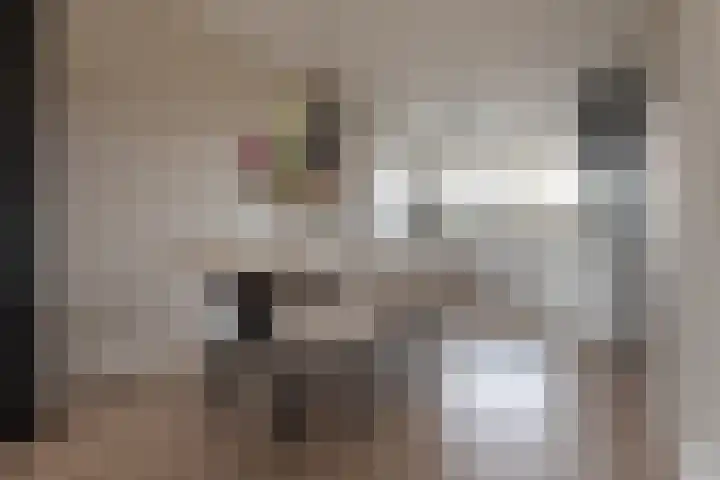 Twistvlietpad 11 Zwolle thumbnail 19