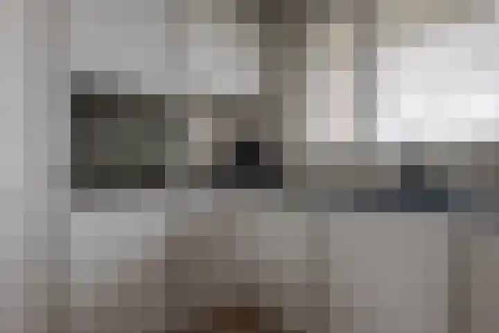 Twistvlietpad 11 Zwolle thumbnail 21