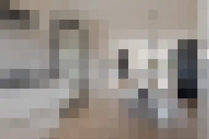 Twistvlietpad 11 Zwolle thumbnail 23