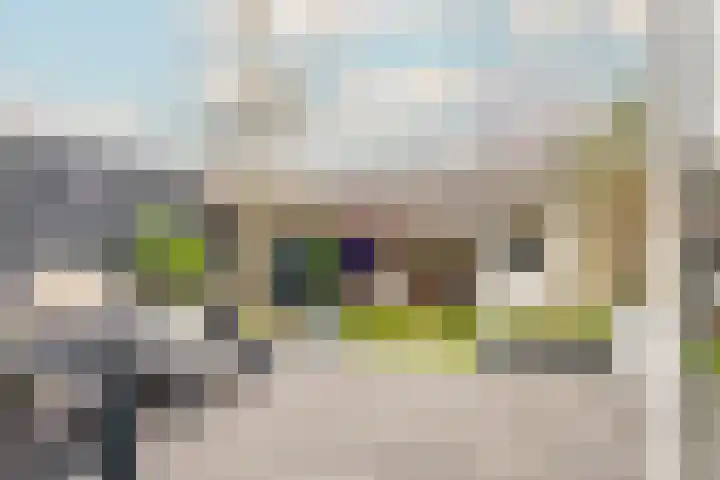 Twistvlietpad 11 Zwolle thumbnail 24
