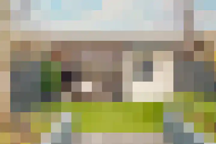 Twistvlietpad 11 Zwolle thumbnail 26