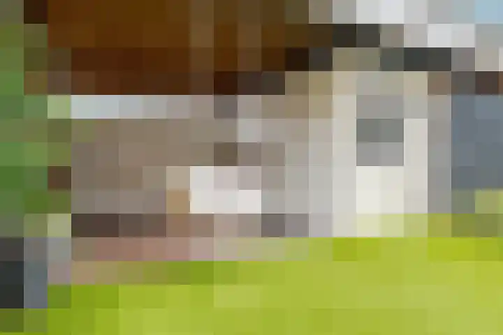 Twistvlietpad 11 Zwolle thumbnail 27