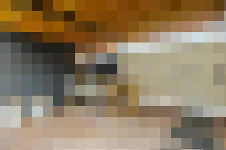 Twistvlietpad 11 Zwolle thumbnail 28
