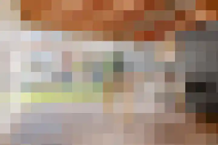 Twistvlietpad 11 Zwolle thumbnail 30