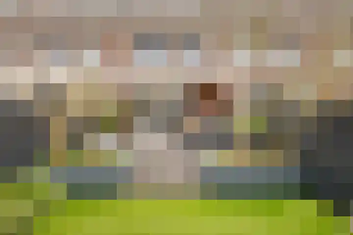 Twistvlietpad 11 Zwolle thumbnail 31