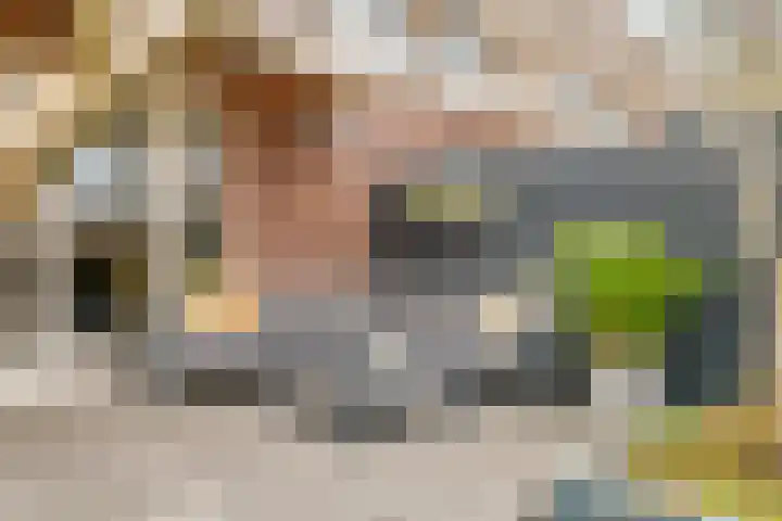 Twistvlietpad 11 Zwolle thumbnail 32