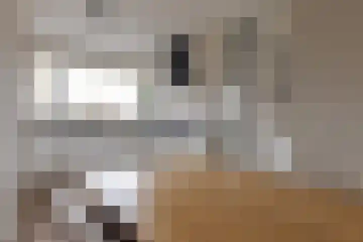 Twistvlietpad 11 Zwolle thumbnail 33