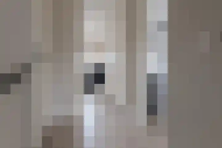 Twistvlietpad 11 Zwolle thumbnail 37