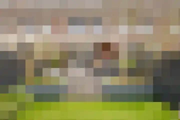 Twistvlietpad 11 Zwolle thumbnail 4