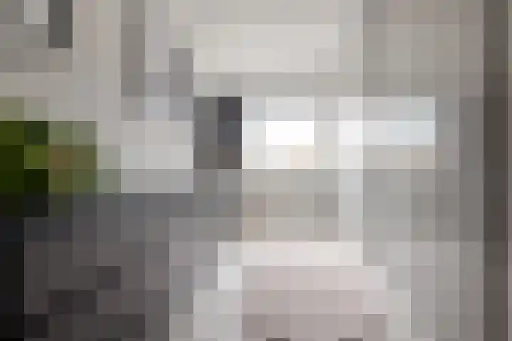 Twistvlietpad 11 Zwolle thumbnail 42