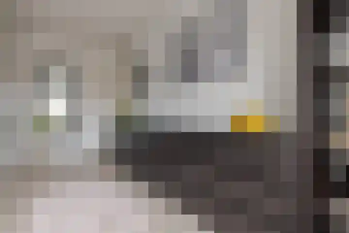 Twistvlietpad 11 Zwolle thumbnail 43