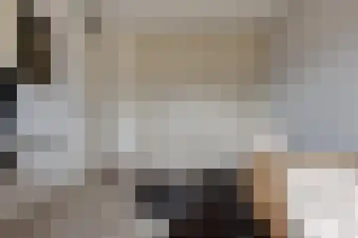 Twistvlietpad 11 Zwolle thumbnail 46