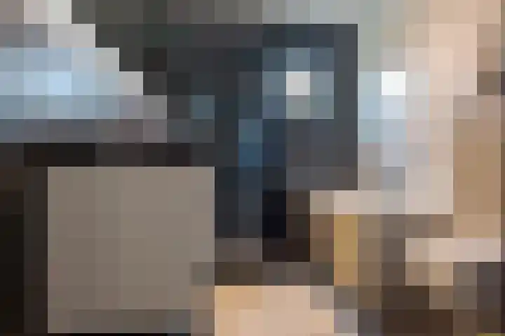 Twistvlietpad 11 Zwolle thumbnail 47