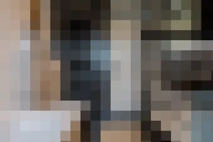Twistvlietpad 11 Zwolle thumbnail 48