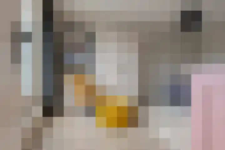Twistvlietpad 11 Zwolle thumbnail 51