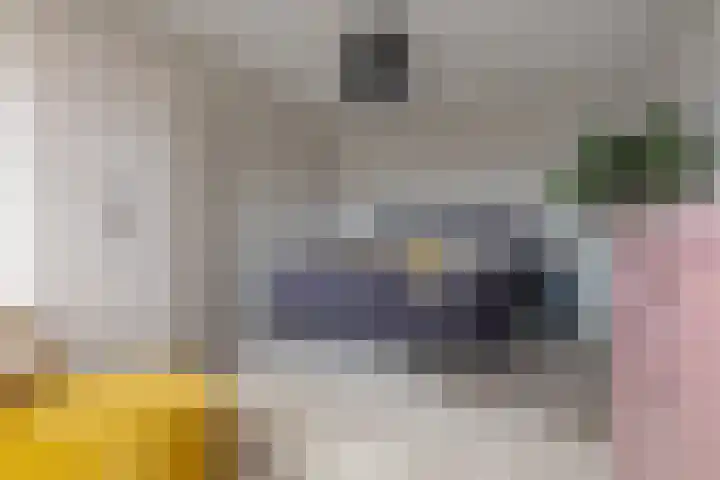 Twistvlietpad 11 Zwolle thumbnail 52