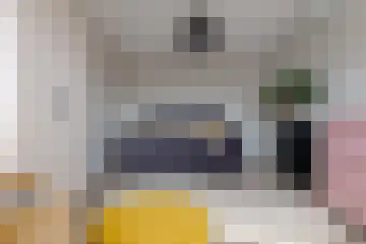 Twistvlietpad 11 Zwolle thumbnail 53