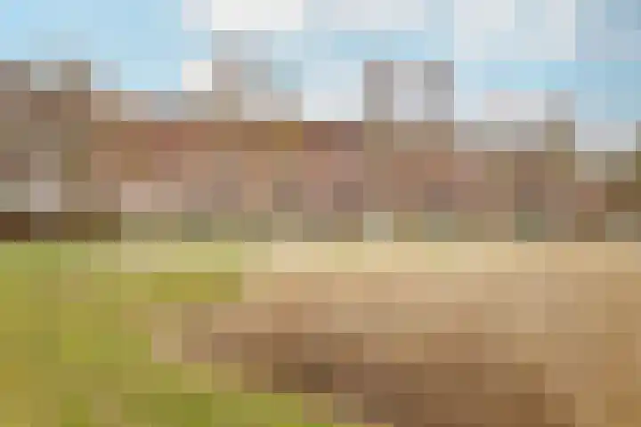 Twistvlietpad 11 Zwolle thumbnail 59