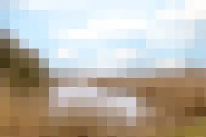 Twistvlietpad 11 Zwolle thumbnail 60