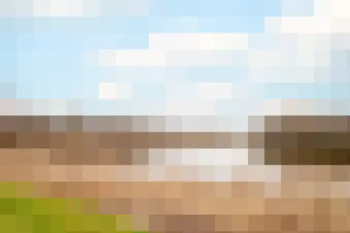 Twistvlietpad 11 Zwolle thumbnail 63