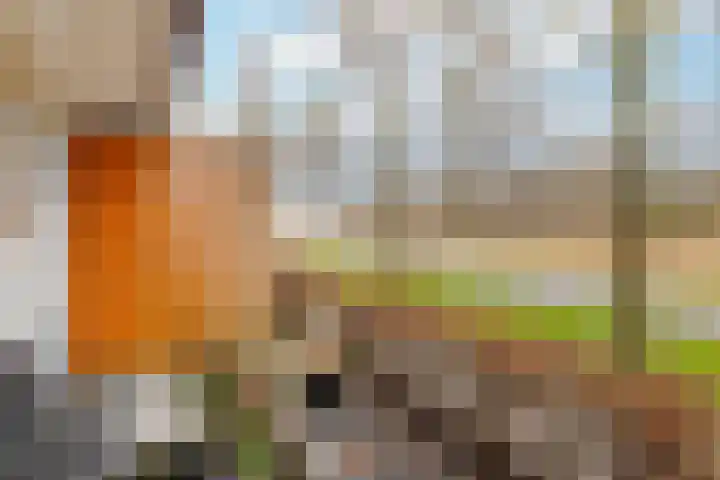 Twistvlietpad 11 Zwolle thumbnail 7
