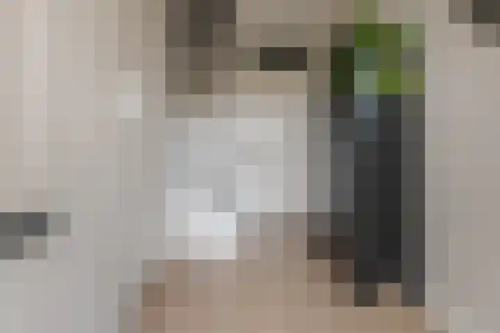Twistvlietpad 11 Zwolle thumbnail 8