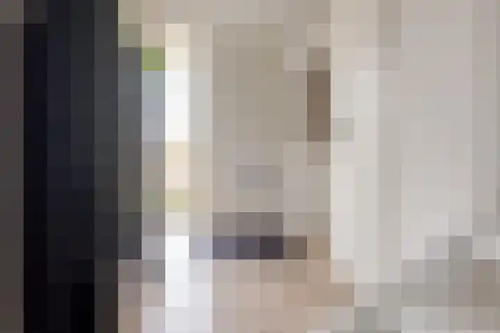 Twistvlietpad 11 Zwolle thumbnail 9