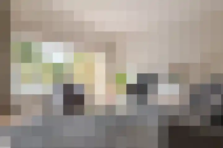 Twistvlietpad 111 Zwolle thumbnail 15
