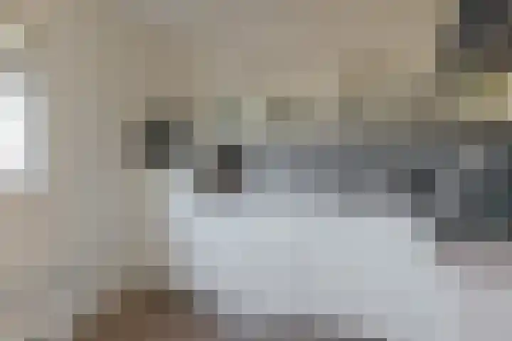Twistvlietpad 111 Zwolle thumbnail 22