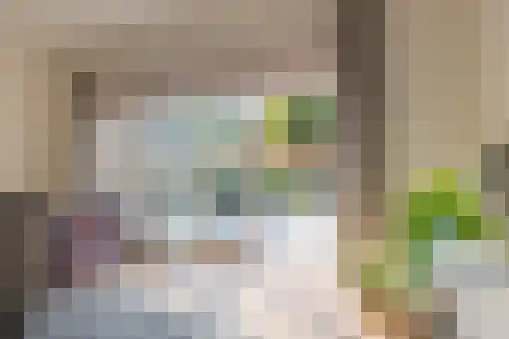 Twistvlietpad 111 Zwolle thumbnail 23