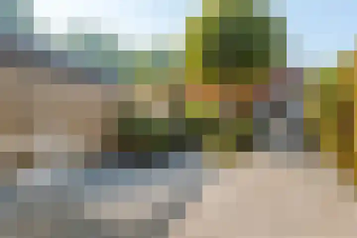Twistvlietpad 111 Zwolle thumbnail 25