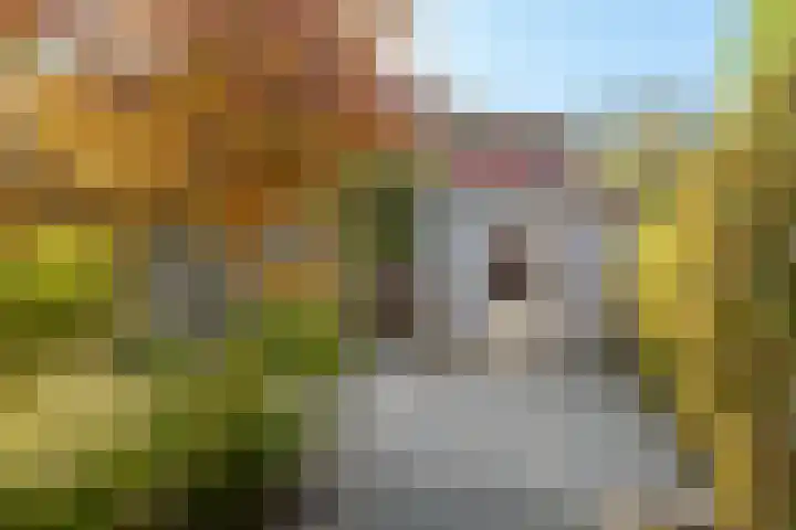Twistvlietpad 111 Zwolle thumbnail 26