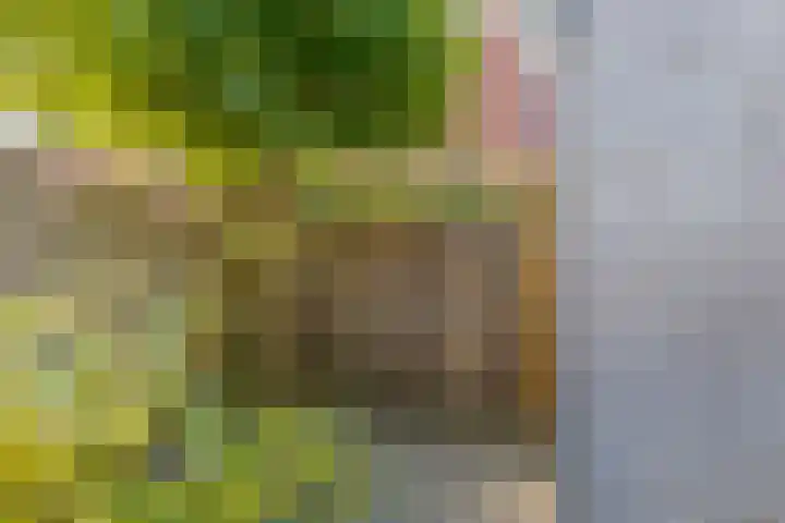 Twistvlietpad 111 Zwolle thumbnail 27