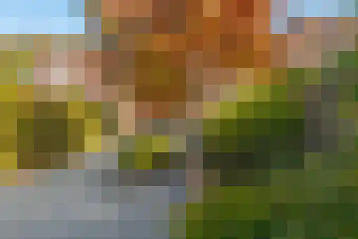 Twistvlietpad 111 Zwolle thumbnail 28
