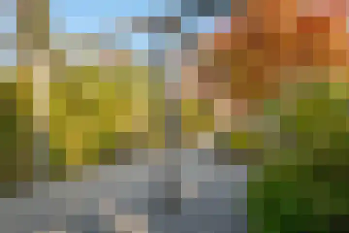 Twistvlietpad 111 Zwolle thumbnail 29