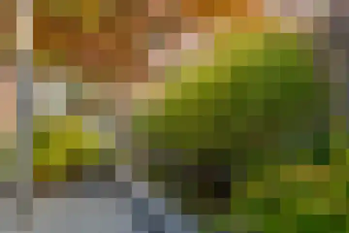 Twistvlietpad 111 Zwolle thumbnail 30