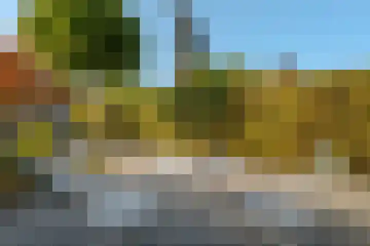 Twistvlietpad 111 Zwolle thumbnail 32