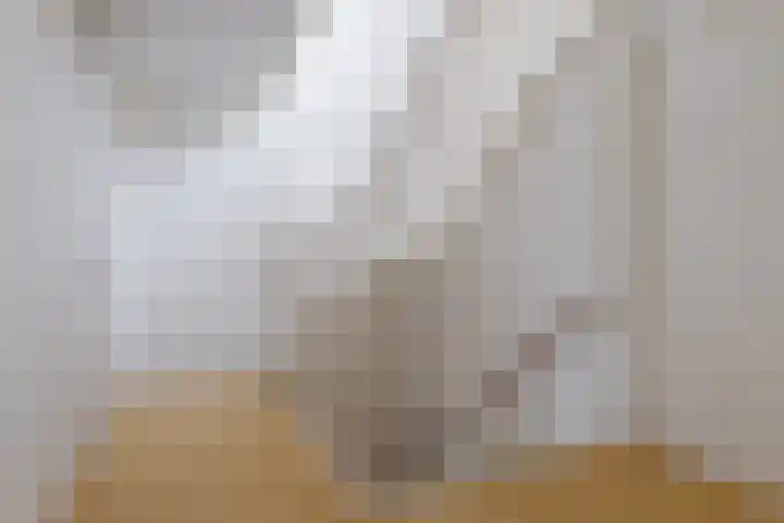 Twistvlietpad 111 Zwolle thumbnail 35