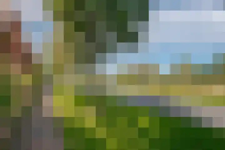 Twistvlietpad 111 Zwolle thumbnail 5